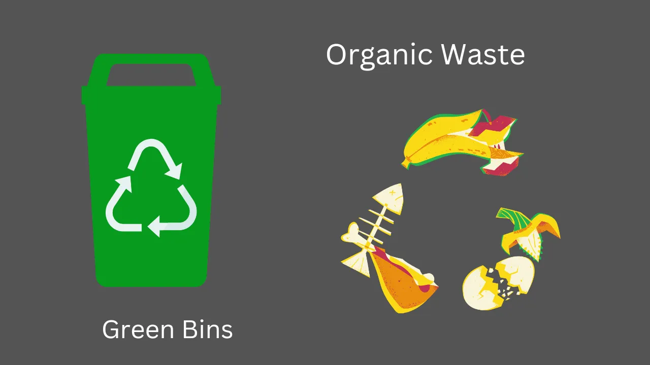 Green Dustbin (Organic Waste)