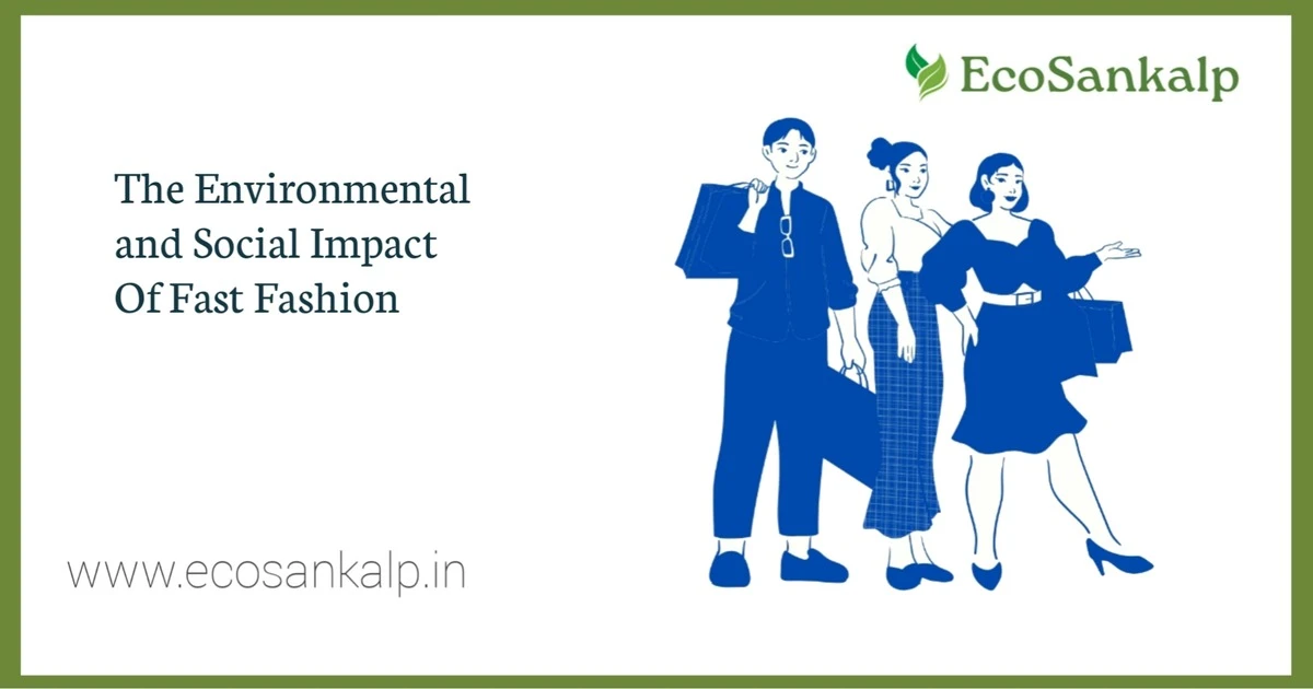 13 Environmental and Social Impact of Fast Fashion