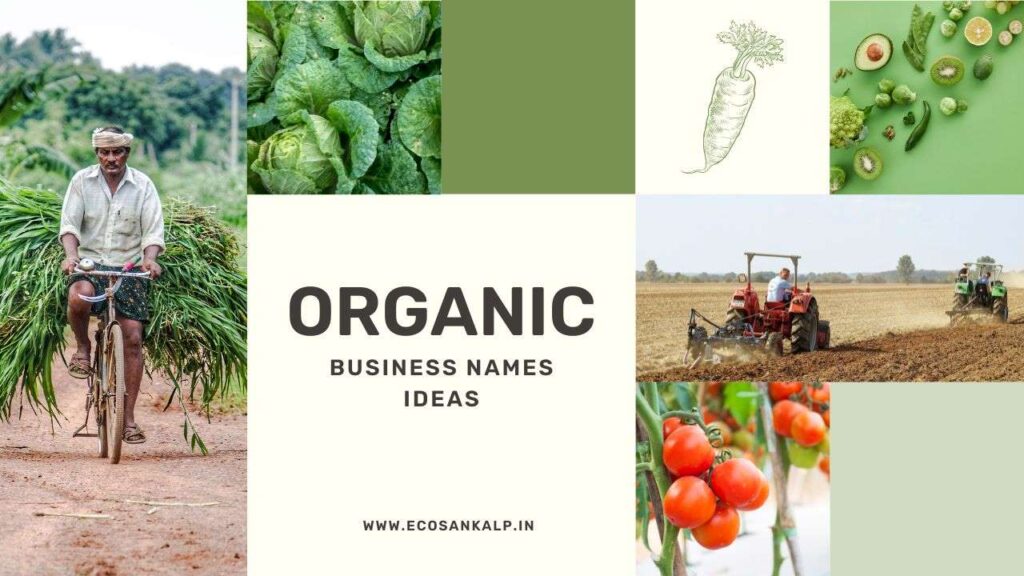 organic business names ideas