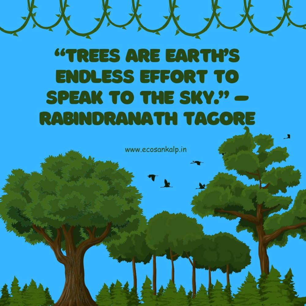 save trees slogans