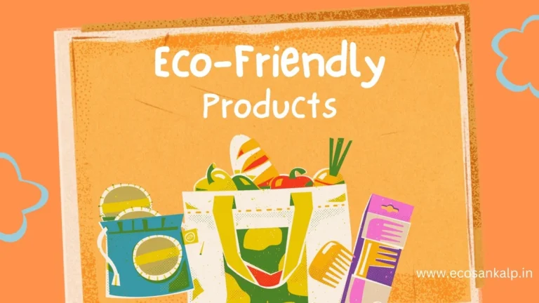 100+ Best Eco Friendly Products List In India (2024)