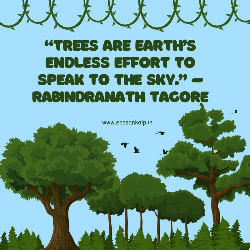 Save Trees Quotes