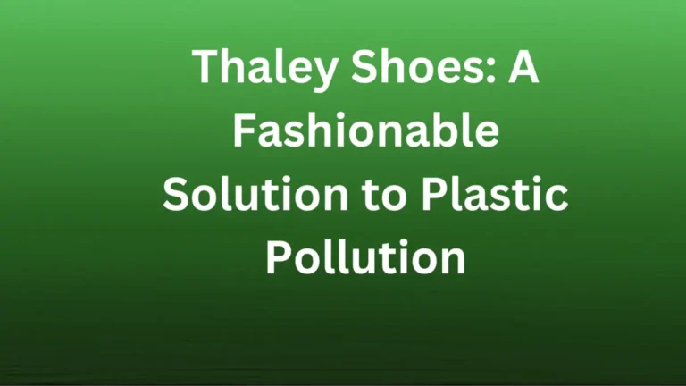 Thaley Shoes: A Fashionable Solution to Plastic Pollution