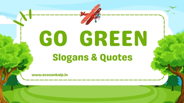 150+ Go Green Slogans & Quotes That Are Inspiring