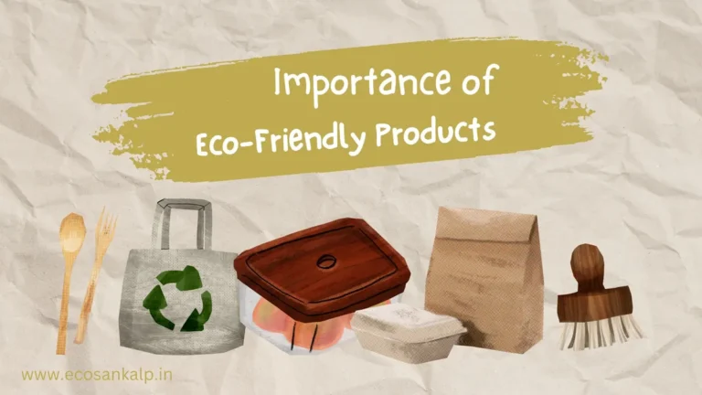 15 Importance Of Using Eco-friendly Products In Day to Day Life