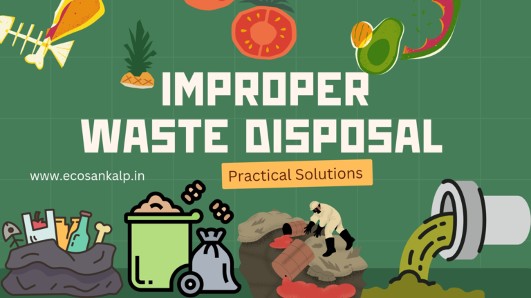 7 Waste Disposal Problems and Their Effective Solutions