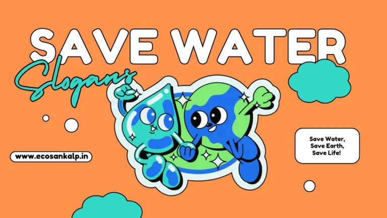 140 Catchy Save Water Slogans, Quotes, and Images